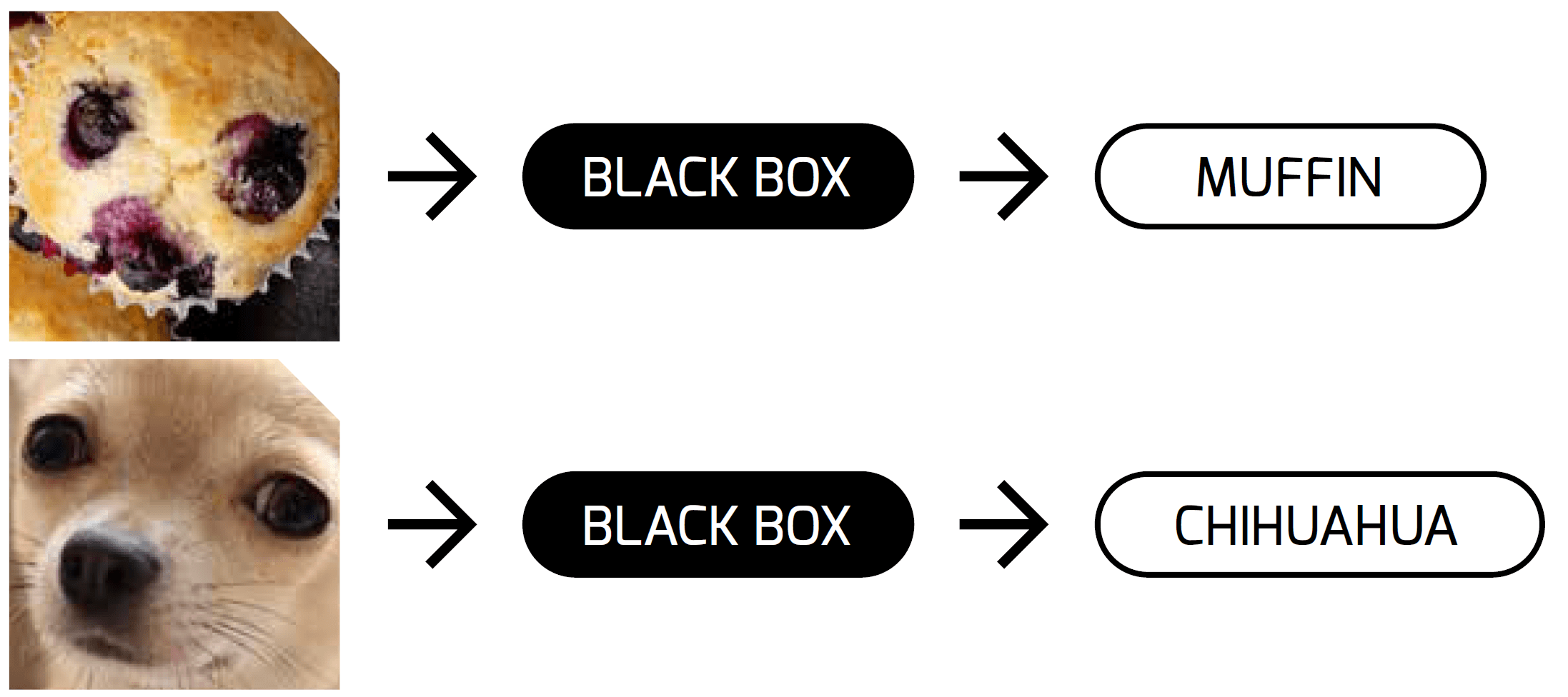 blackbox