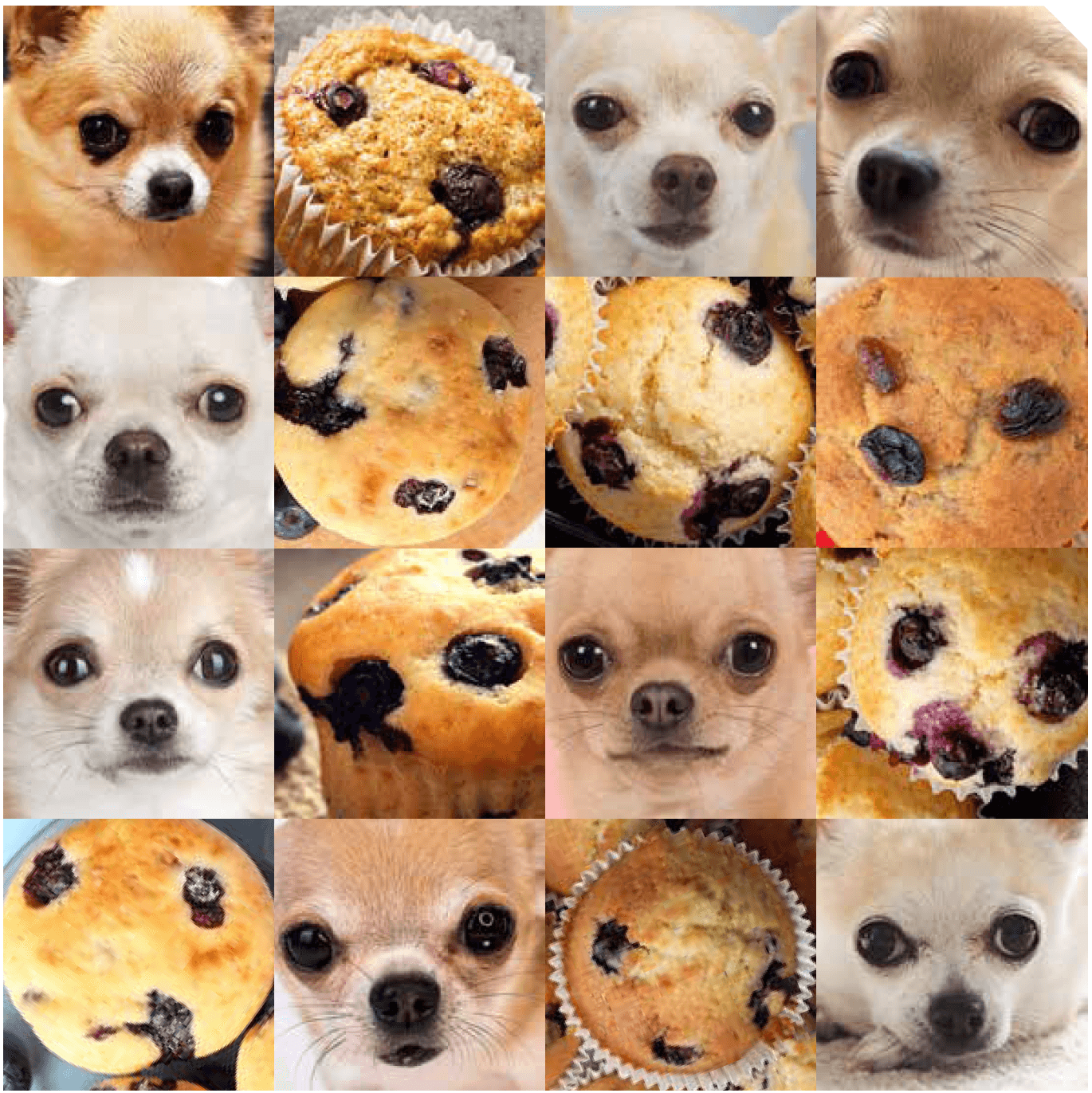 muffinchi