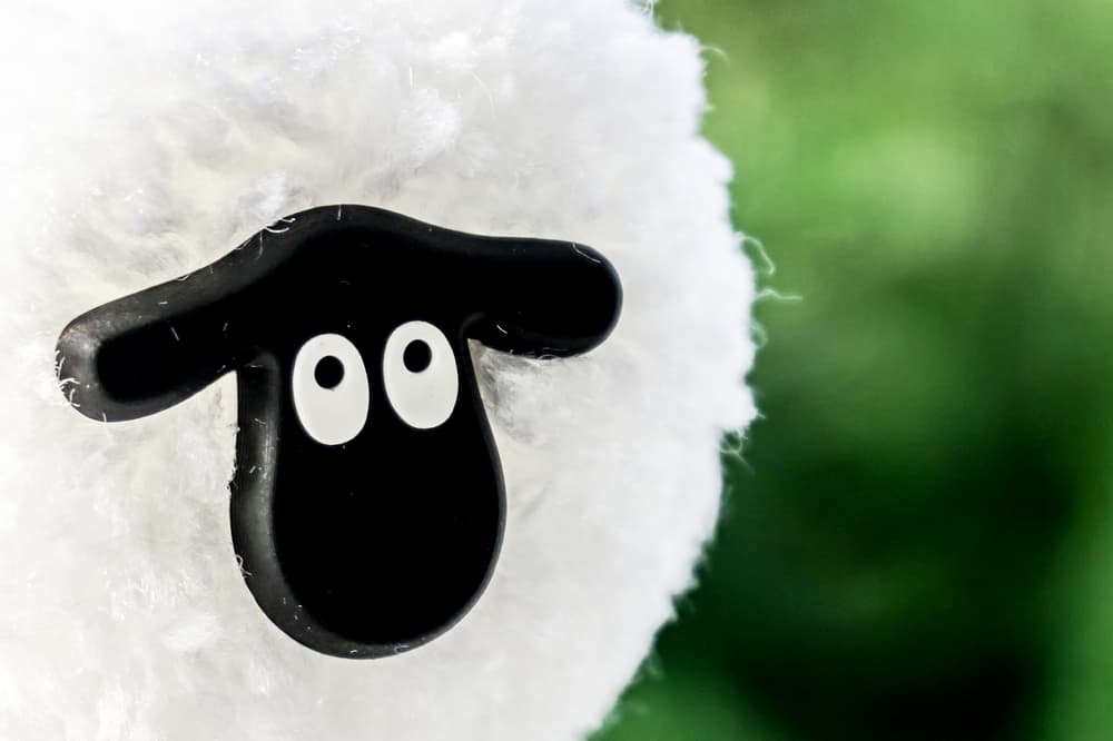 Shaun-the-sheep